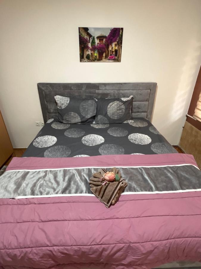 Apartment Aloha Novi Pazar